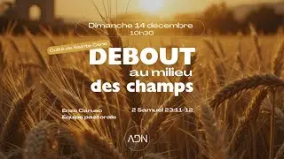 14/12/2025 - Debout  au milieu des champs - Fr Enzo Caruso