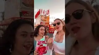 Cabin Crew Layover: Orange County Fair, California, USA