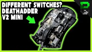 У этой мыши другие переключатели &mdash; разборка Razer Deathadder V2 Mini
