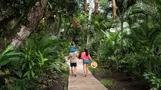 Hotel Branding Video - Travel with Intent | Ka'ana, Belize