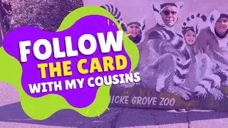 Playtime at the Zoo and more fun with my cousins!