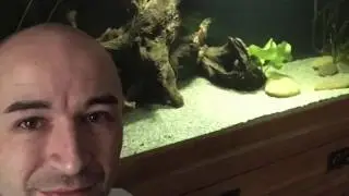 Fishkeeper Stories with Carl Bethell