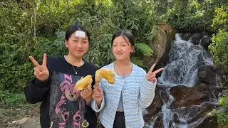 Zoo Siab Tau Mus Pom Roob ພູສາມສຸມ / Jan 19, 2026