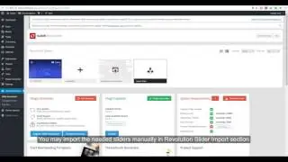 Native theme. WordPress importer demo installation