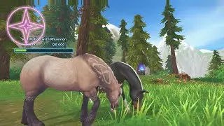 Star Stable Online - Druid Training and Missions.