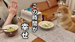 愛犬とふたり暮らし｜同じご飯を同じテーブルを囲んで食べる時間が幸せ