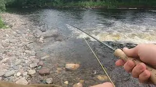 A salmon lost: Finavon Castle Water, river South Esk.