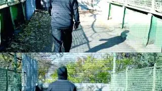 Napoleon Da Legend-Phoenix Dir.Crazy Al Cayne