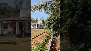 Homestay in Coorg with Lovely Nature 😍#ytshorts #shortsfeed #shorts #nature #travel #homestay #viral