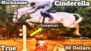 Cinderella: The $80 Horse That Beat the World's Best #cinderella #horse #snowman #horsejumping