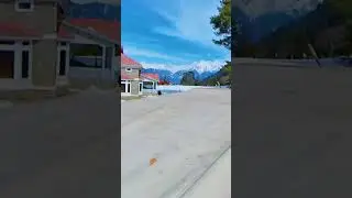Shogran Mountains - #shortfeed #shogran #forest #shortvideos #pinetree #shorts