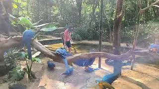 A natureza perfeita, como a flora e a fauna se complementam &eacute; a prova de algo maior e criador.