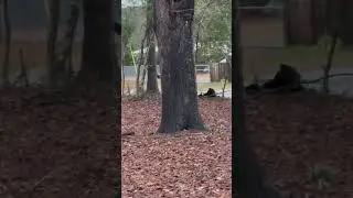 Agent Trashwell jumps into action