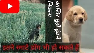 German Shepherd Ne Mujhe Dhoond Liya 😱 | Hide & Seek Challenge with Smart GSD | Full Long Video