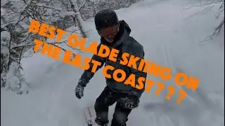 IS THIS THE BEST GLADE SKIING ON THE EAST COAST???