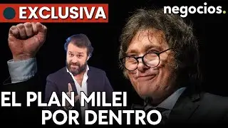 EXCLUSIVA: Así es el plan de Milei para dolarizar la economía de Argentina. Necesita 40.000 millones