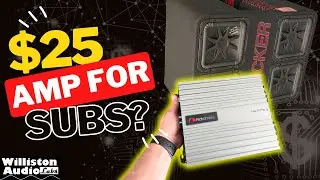 $25 Amp vs Four 12