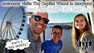 mutucucu Capital Wheel in Maryland