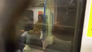 Victoria line 11029 from Finsbury Park to Green Park