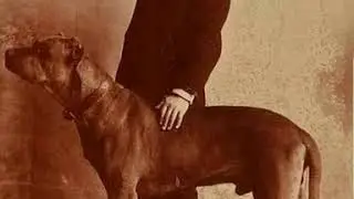 Rare and Old Pics of Dogs: PART 1