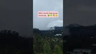 Green views and peaceful hues at the Nilgiris,Coonoor💚#coonoorvlog #natureview   #cloudsinthesky