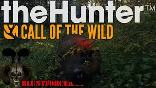 Tracking a Troll For Almost 2 Miles! The Hunter Call of The Wild