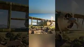 Grandpa Built a Plane from Bamboo