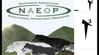 NAEOP 2020 T3 Alliance Overview