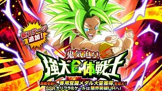 *NEW* DOKKANFEST KALE & CAULIFLA/KEFLA DOKKANFEST BOSS BATTLE! (DBZ: Dokkan Battle)