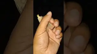Natures small.creatures in hand #youtube #insectstrending  #youtubeshorts #ytshorts #shorts #short
