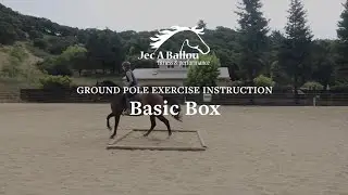 Jec Ballou Ground Pole Exercise | Basic Box