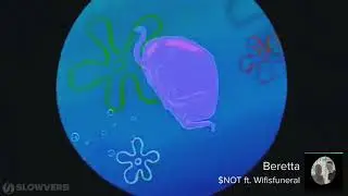 Beretta -  $NOT  - Slowed and Reverb