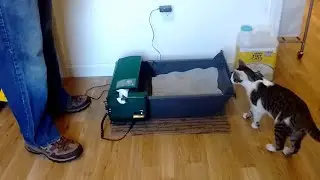 Обзор самоочищающегося кошачьего туалета Pet Zone Smart Scoop Automatic