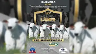 247º LEILÃO MISTO LÍDER REMATE - 12/01/2026