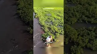 Эта работа спасает миллионы людей ❤️