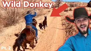 Roping Wild Burros On Navajo Reservation: [pt. 2] Vlog #33