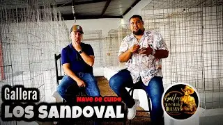 Nave de cuido, Anabólicos y Sentido común. /Los Sandoval 