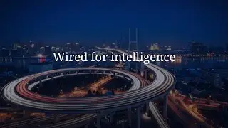 Introducing the IDC InfoBrief &ldquo;Wired for Intelligence: A CIO Guide to Enterprise Networking for AI