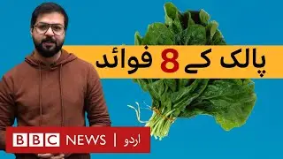 Top 8 Miraculous Health Benefits of Spinach - BBC URDU