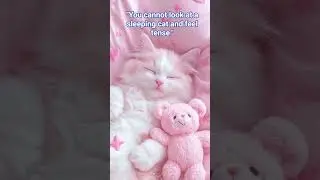 They understand everything #calmtail #petmusic #shorts #trending #viral #cat #petmusic #ai #aivideo