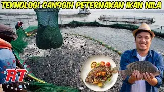 TEKNOLOGI MODERN DI BALIK PETERNAKAN IKAN NILA MILIK AMERIKA | DARI TELUR HINGGA FILLET SIAP SANTAP!