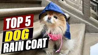 Waterproof Dog Raincoats: Keep Your Pup Dry and Happy