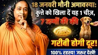 18 जनवरी मौनी अमावस्या: कुत्ते को खिला दें यह 1 चीज़, 7 जन्मों की गरीबी होगी दूर!