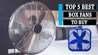Box Fan To Buy || 5 Best Box Fans 2025 Under $30 || You Can Buy Now