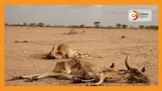 378,000 people are facing starvation in Garissa County