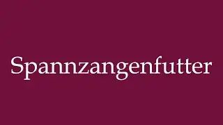 How to Pronounce ''Spannzangenfutter'' (Collet chuck) Correctly in German