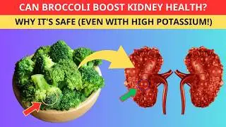 Is Broccoli Good For Kidneys? - Benefits & Tips For A Kidney-Friendly Diet