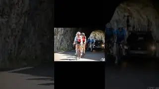 Mont Ventoux D&eacute;nivel&eacute; Challenge 2022 - Women 🥰