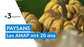 Dossier écolo : les AMAP ont 20 ans