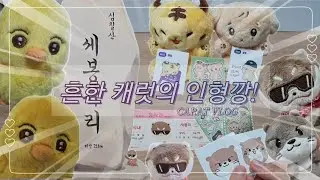 [캐럿로그] 세븐틴 동물인형! 안다 다~ 안다!! 모아보자는 거야!! | 인형 택배깡~!! #4 #캐럿로그 #세븐틴 #덕질브이로그